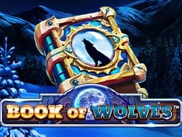 Book Of Wolves screenshot